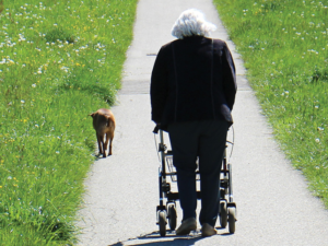 Rollators voor verschillende behoeften en budgetten